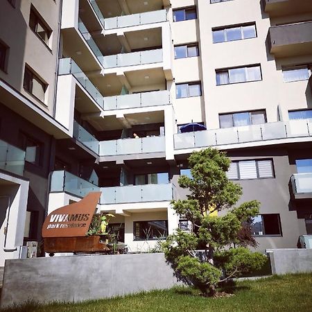 Vivamus Studio Brașov Exterior foto