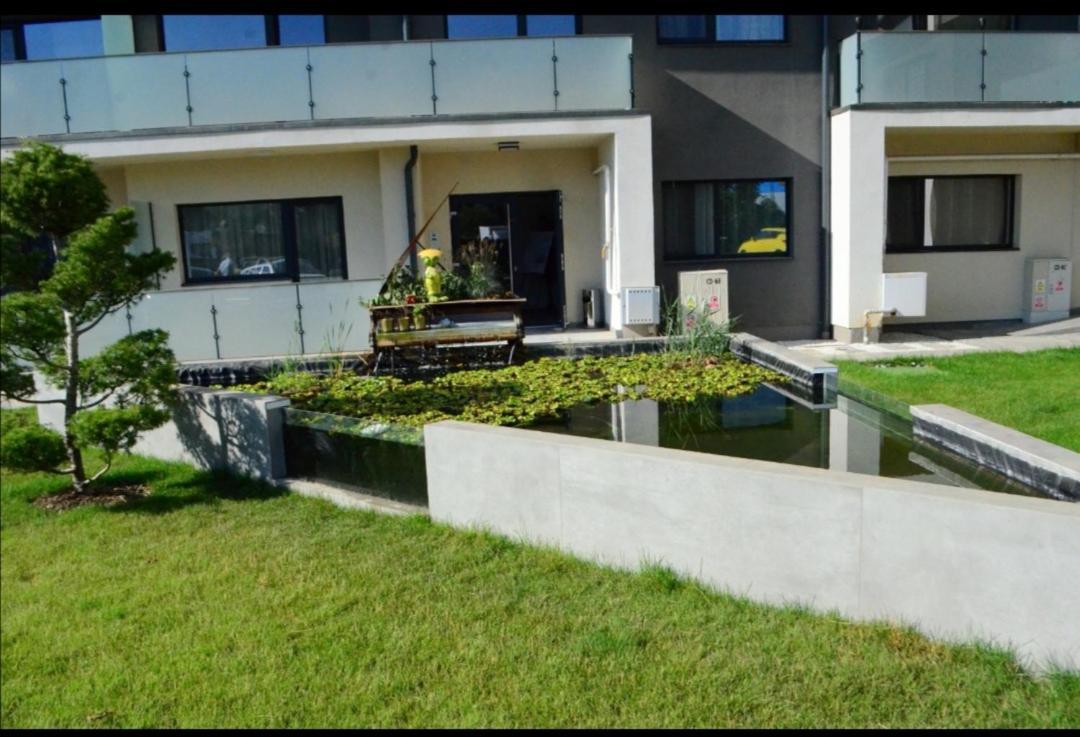 Vivamus Studio Brașov Exterior foto